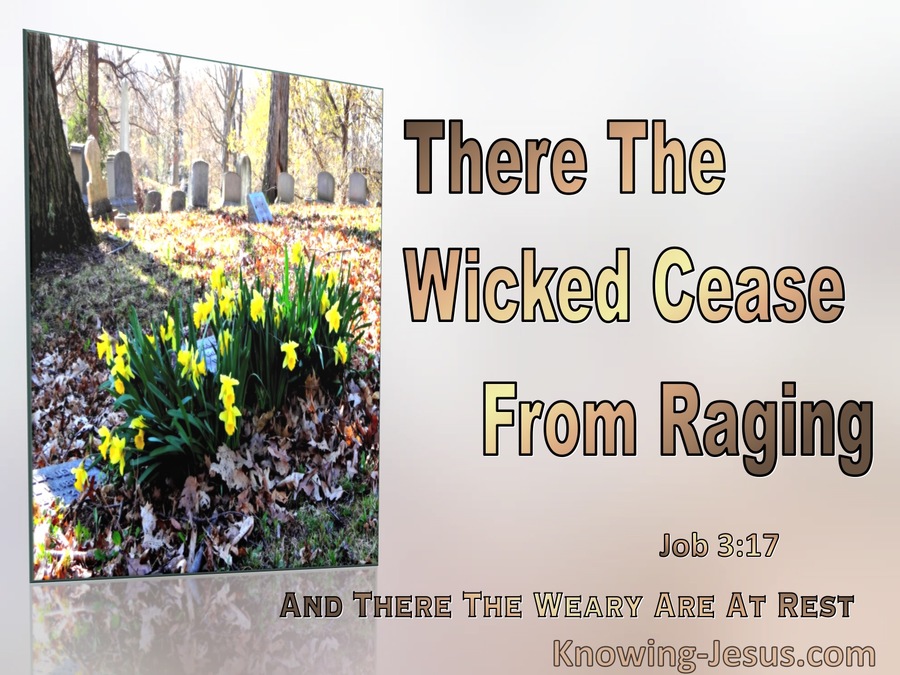 Job 3:17 The Wicked Cease Raging The Weary Are At Rest (brown) 